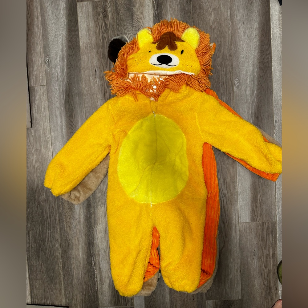 Lion Costume
